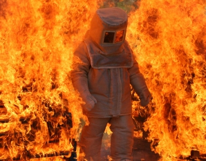 Image of Into the Heart of a Fire