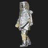 Product Image for Item #2100343